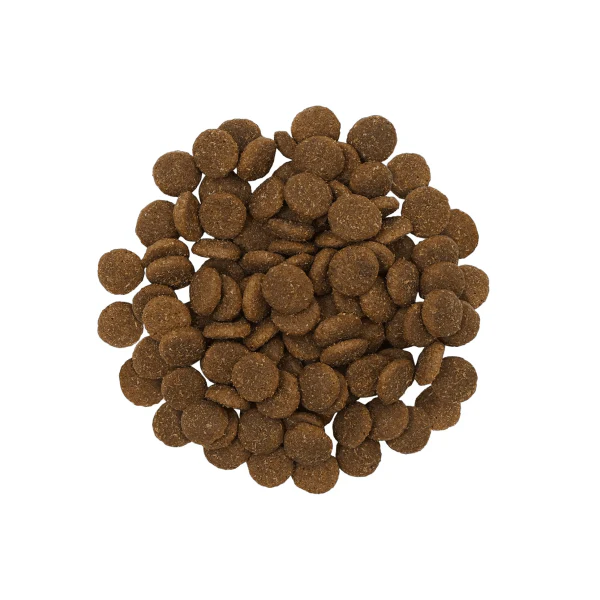 Go! Solutions Skin & Coat Care Large Breed Salmon Recipe with Grains Dry Dog Food, 25lb - Image 7