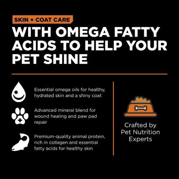 Go! Solutions Skin & Coat Care Salmon Recipe with Grains Dry Dog Food - Image 3
