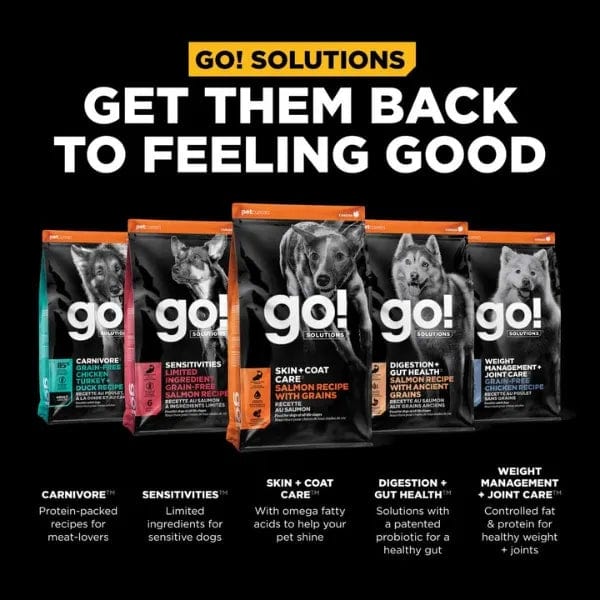 Go! Solutions Skin & Coat Care Salmon Recipe with Grains Dry Dog Food - Image 5