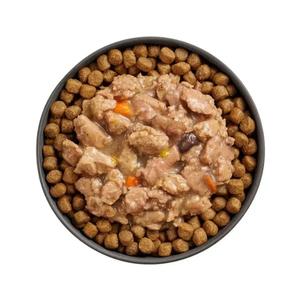Go! Solutions Booster Immune Health Minced Chicken + Salmon with Gravy Wet Cat Food - Image 3