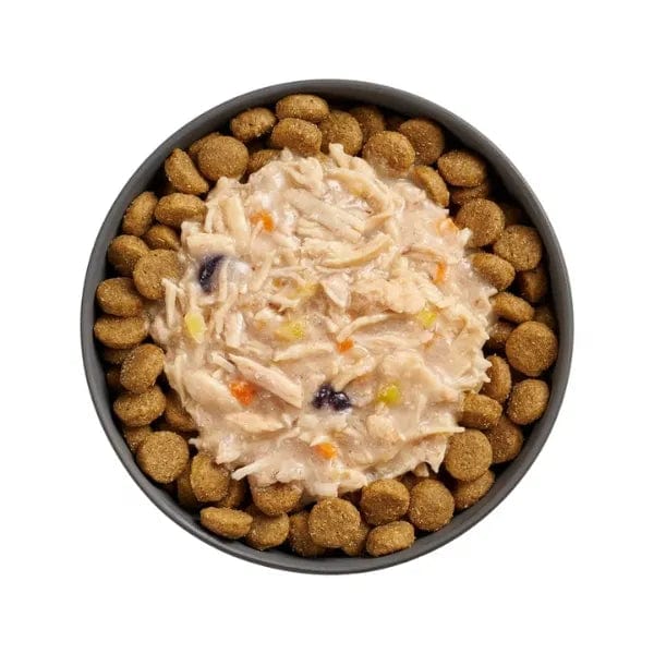 Go! Solutions Booster Immune Health Shredded Chicken + Salmon in Bone Broth Dog Food Topper - Image 3