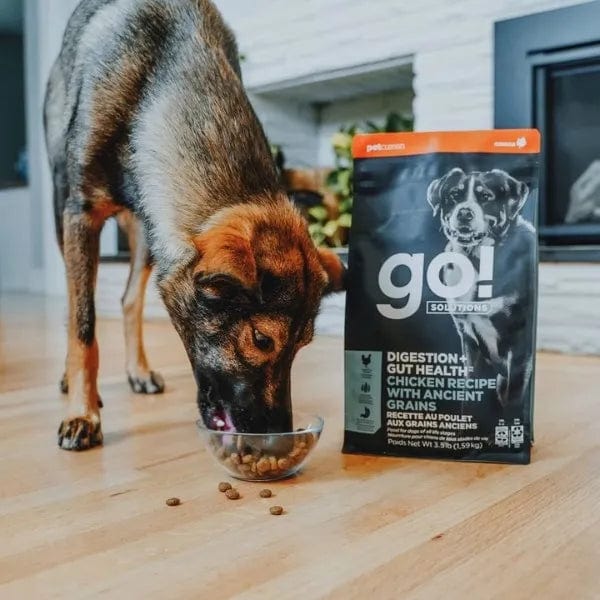Go! Solutions Digestion + Gut Health, Chicken Recipe with Ancient Grains Dry Dog Food - Image 4