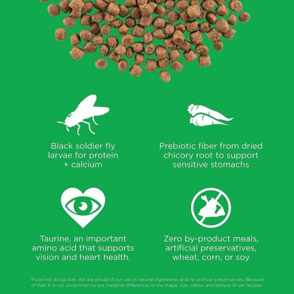 Go! Solutions Sensitivities Limited Ingredient Grain Free Insect Recipe Dry Cat Food (SPECIAL ORDER ITEM) - Image 2
