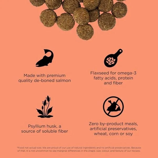 Go! Solutions Weight Management + Joint Care, Grain-Free Salmon Recipe Dry Dog Food - Image 2