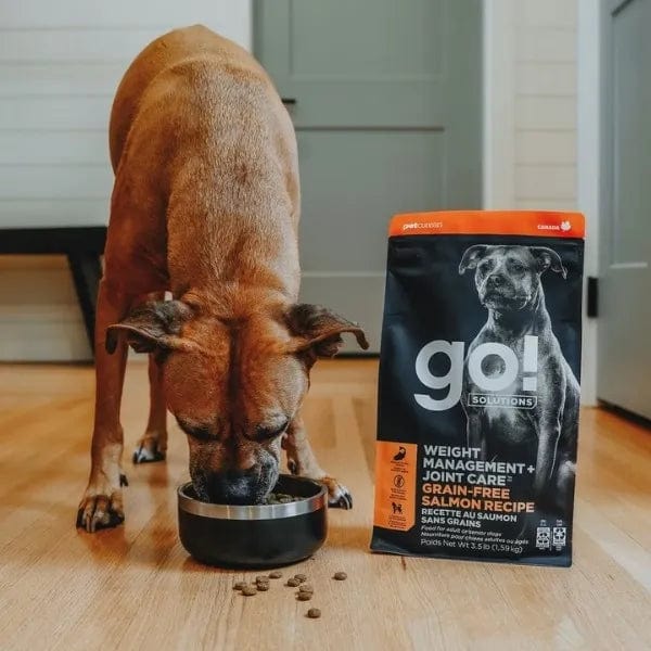 Go! Solutions Weight Management + Joint Care, Grain-Free Salmon Recipe Dry Dog Food - Image 4