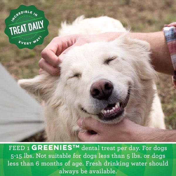 Greenies Fresh Teenie Adult Dog Dental Treats, 12oz - Image 3