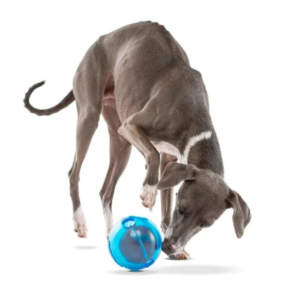 GURU Ball Dog Toy - Image 2