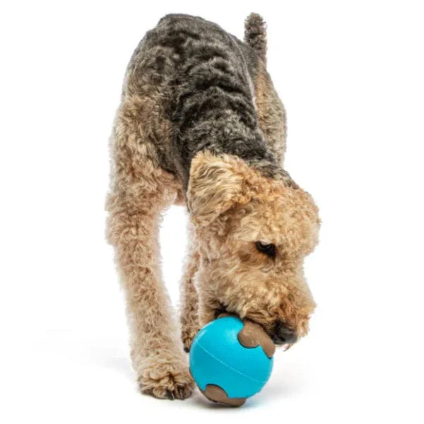 GURU Busy Ball Dog Toy - Image 2