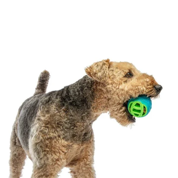 GURU Pocket Ball Dog Toy - Image 2
