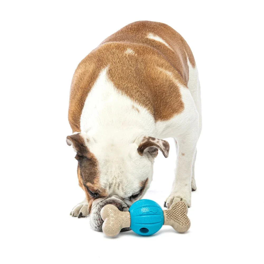 GURU Spin & Chew Bone Dog Toy - Image 3