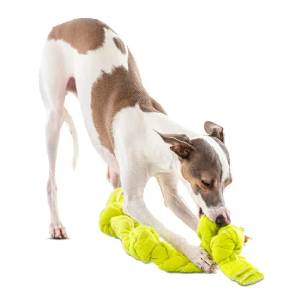 GURU Squeaking Tennis Snuffle Rope Dog Toy - Image 2