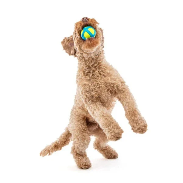 GURU Tennis Max Ball Dog Toy - Image 2