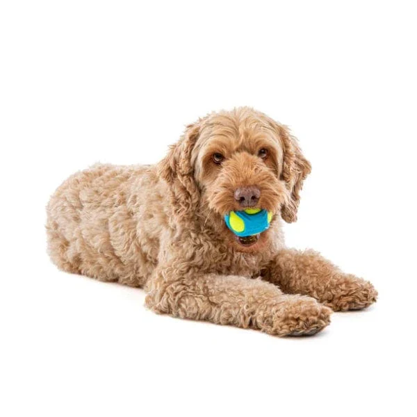 GURU Tennis Max Ball Dog Toy - Image 3