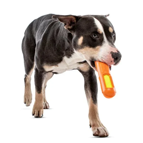 GURU Tennis Max Stick Dog Toy - Image 2