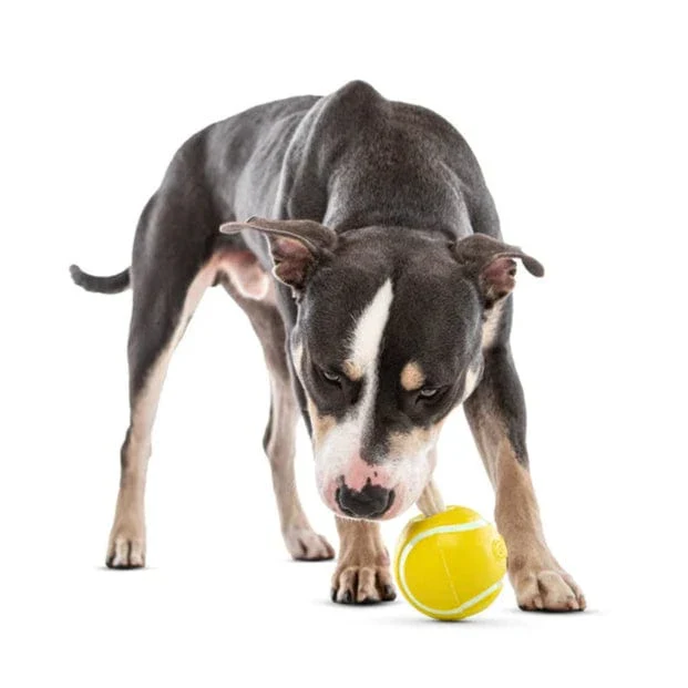 GURU Tennis Treat Ball Dog Toy - Image 3