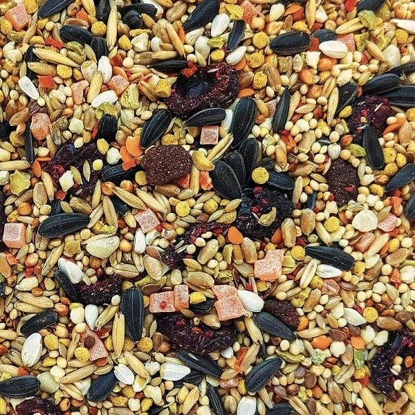 HARI Gourmet Premium Seed Mix For Cockatiels - Image 3