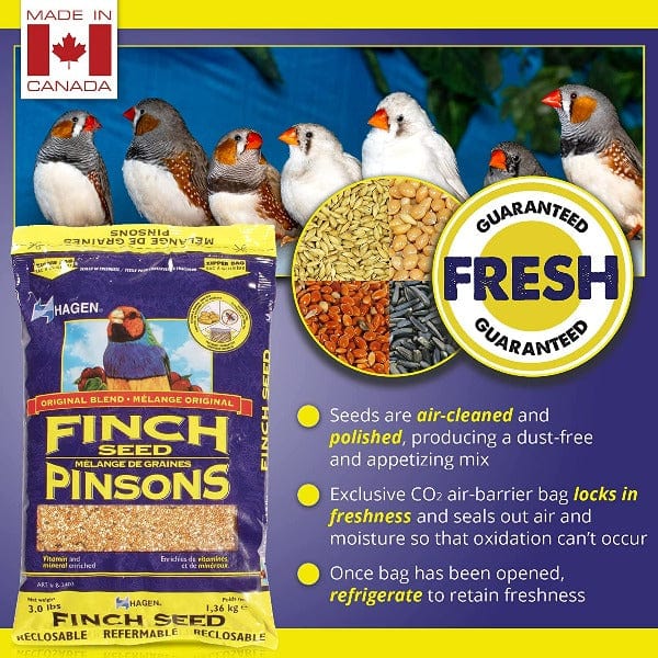 Hagen Finch Staple VME Seed - Image 3