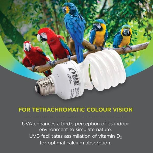 Hari Avian Light Bulb 26W/UVB 5.0/UVA 25 - Image 3