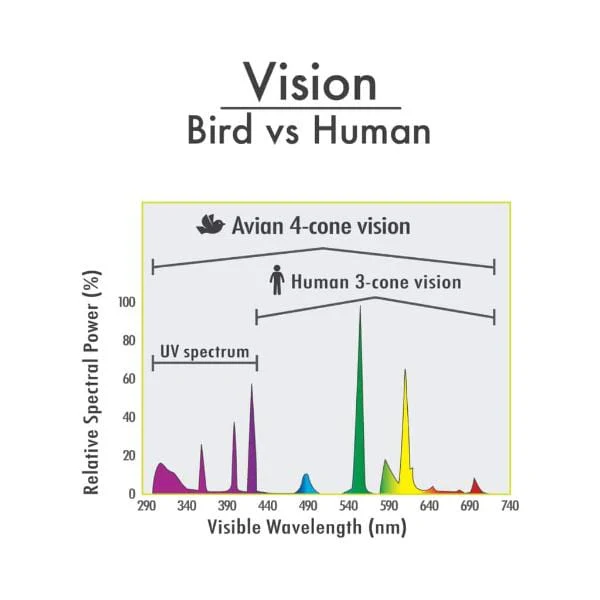 Hari Avian Light Bulb 26W/UVB 5.0/UVA 25 - Image 4