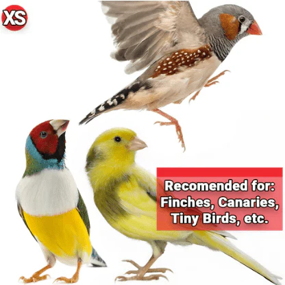 HARI Gourmet Premium Seed Mix for Finches - Image 5