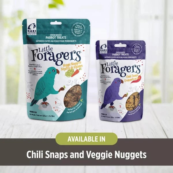 Hari Little Foragers Parrot Treats - Chili Snaps Bird Treats - Image 3