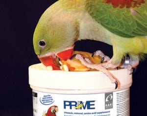 Hari Prime Vitamin Mineral Amino Acid Supplement for Birds - Image 4