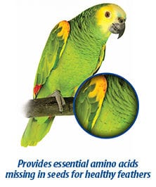 Hari Prime Vitamin Mineral Amino Acid Supplement for Birds - Image 6