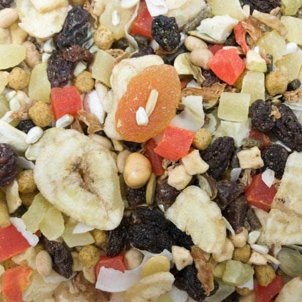 Sunburst Fruits & Veggies (Large) Gourmet Natural Bird Treats - Image 2