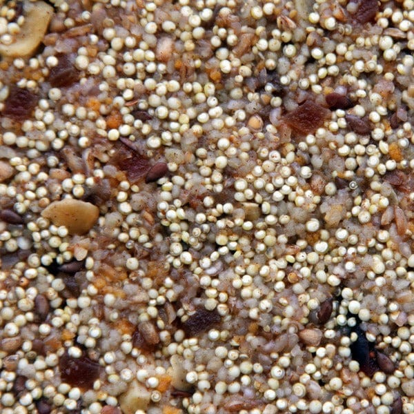 Higgins Worldly Cuisines African Sunset Bird Food Appetizer - Image 2