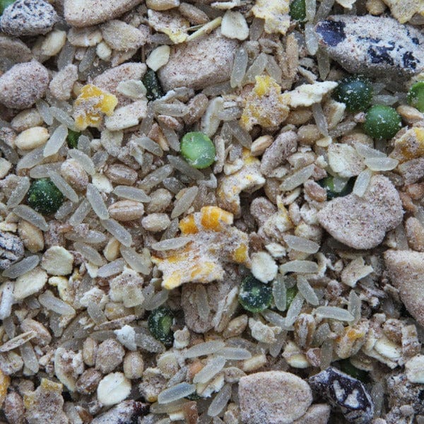 Higgins Worldly Cuisines Creamy Zen Bird Food Appetizer - Image 3