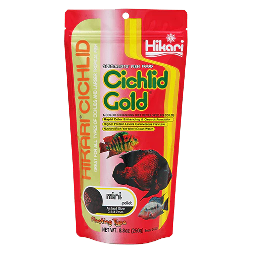 Hikari Cichlid Gold Floating Pellet - Image 4