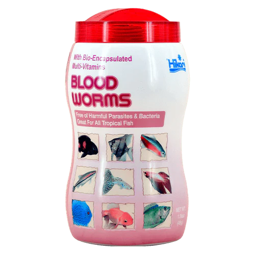 Hikari Freeze Dried Blood Worms - Image 2