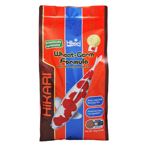 Hikari Koi Wheat Germ Floating Pellet - Image 4