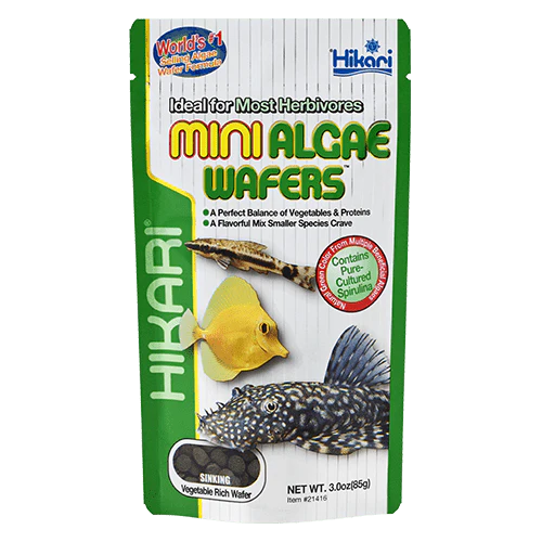 Hikari Tropical Mini Algae Wafers - Image 2