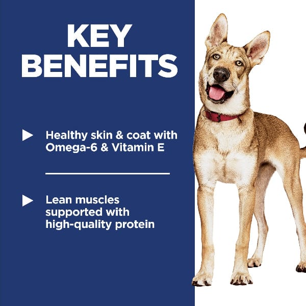 Science Diet Adult Chicken & Barley Recipe Dry Dog Food - Image 4