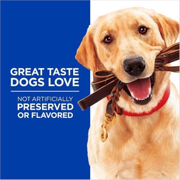 Hill's Soft & Chewy Training Treats with Real Chicken Dog Treat - Image 3