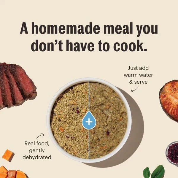 The Honest Kitchen WholeMade | Limited Ingredient Turkey Recipe Dehydrated Dog Food, 10lb (SPECIAL ORDER ITEM) - Image 4