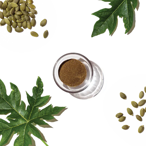 The Honest Kitchen Perfect Form Herbal Digestive Supplement - Image 6
