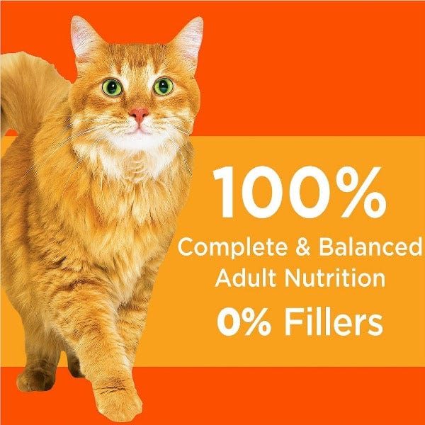 IAMS Proactive Health Healthy Adult with Chicken Dry Cat Food - Image 3