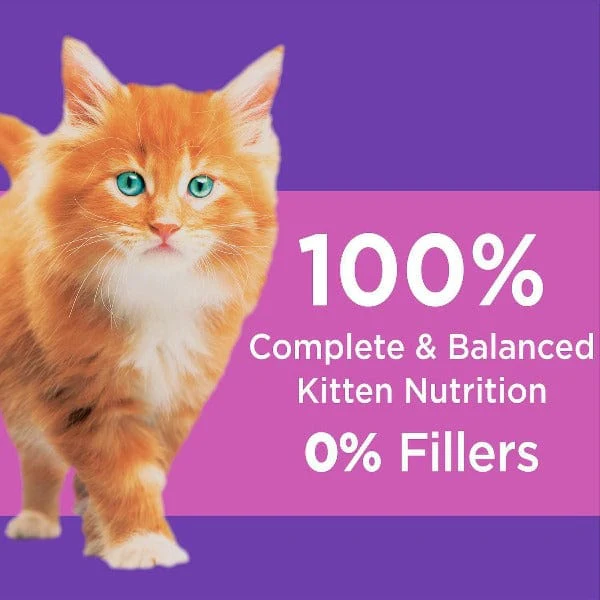 IAMS Proactive Health Healthy Kitten Dry Cat Food - Image 3