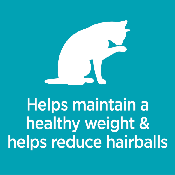 IAMS Proactive Health Indoor Weight & Hairball Care Dry Cat Food - Image 3