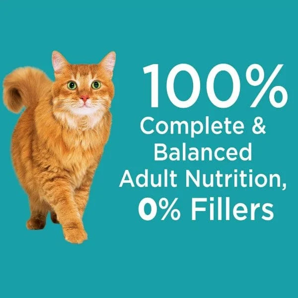 IAMS Proactive Health Indoor Weight & Hairball Care Dry Cat Food - Image 4