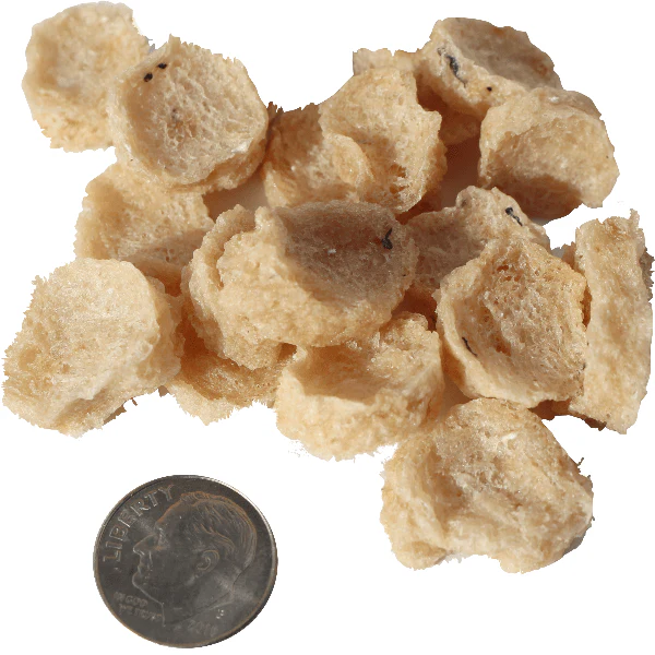 Icelandic+ Cod Chips Mini Fish Chips Dog Treat (SPECIAL ORDER ITEM) - Image 5