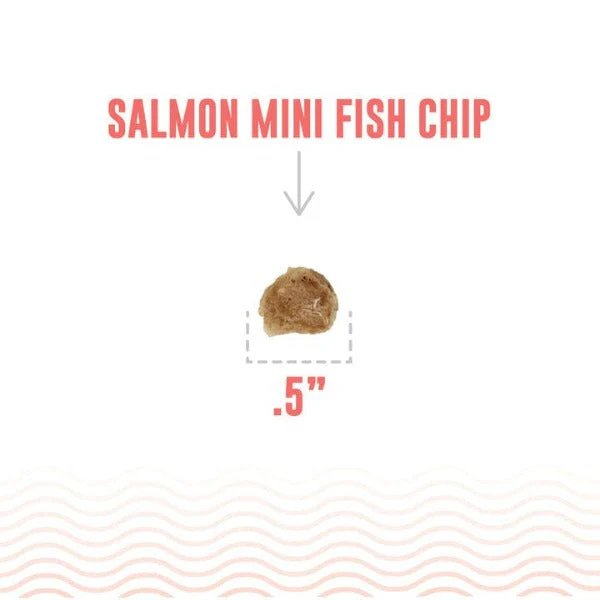 Icelandic+ Salmon Mini Fish Chips Dog Treats (SPECIAL ORDER ITEM) - Image 4