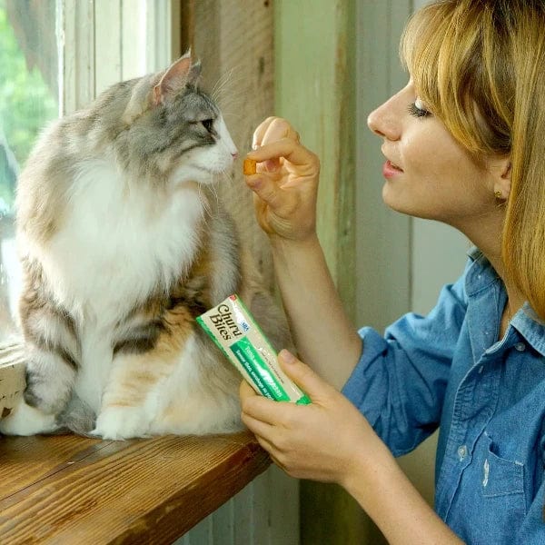 Inaba Churu Bites Tuna with Salmon Recipe Creamy Purée Cat Treat - Image 5