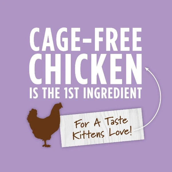 Instinct Original Real Chicken Recipe Canned Kitten Food - Image 5