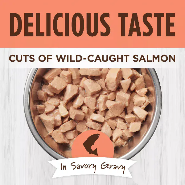 Instinct Healthy Cravings Real Salmon Recipe Wet Cat Food Topper - Image 2