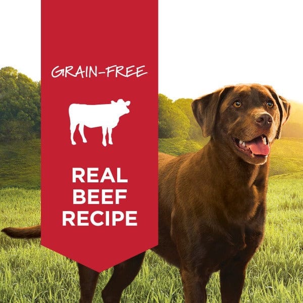 Instinct Original Real Beef Recipe Canned Dog Food - Image 4