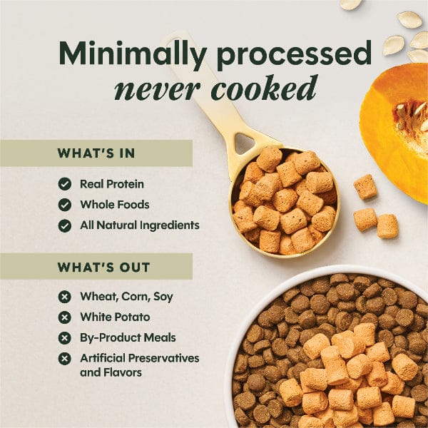 Instinct Raw Boost Mixers Gut Health Dog Food Topper - Image 4