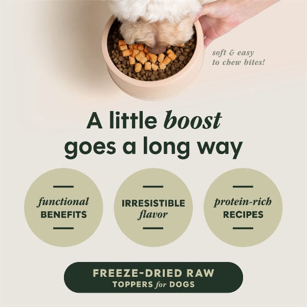 Instinct Raw Boost Mixers Gut Health Dog Food Topper - Image 6